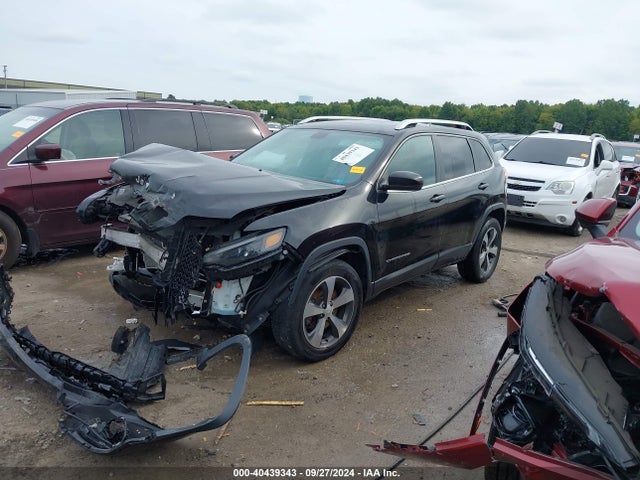 Jeep Cherokee Limited 4x4 2019 1C4PJMDX7KD394330 Image 2