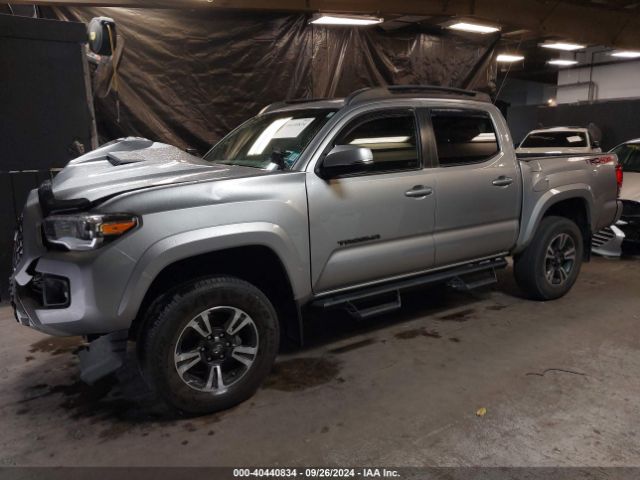 5TFCZ5AN7KX199164 Toyota Tacoma Trd Sport