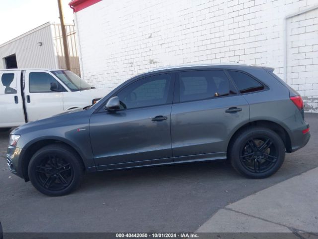WA1D7AFP3GA049036 Audi Q5 3.0t Premium Plus