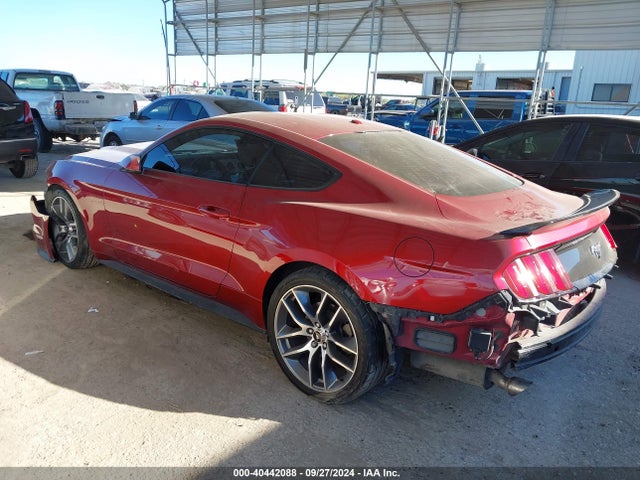 Ford Mustang Ecoboost 2016 1FA6P8TH6G5245961 Image 3