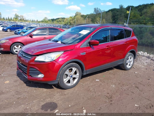 Ford ESCAPE SE 2014 1FMCU0GX7EUD50855 Image 2