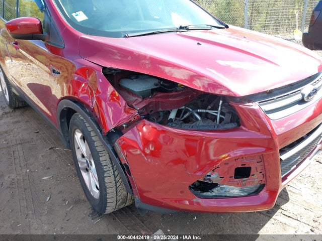 Ford ESCAPE SE 2014 1FMCU0GX7EUD50855 Image 6