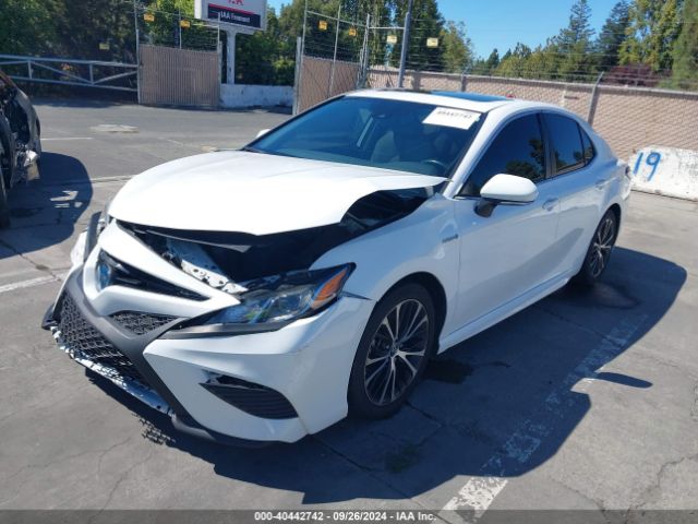 4T1B21HK5KU518272 Toyota Camry Hybrid Se