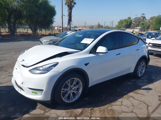 2023 TESLA MODEL Y 7SAYGDEE5PA079672 Photo 1