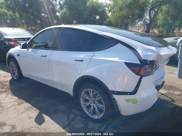 2023 TESLA MODEL Y 7SAYGDEE5PA079672 Photo 2