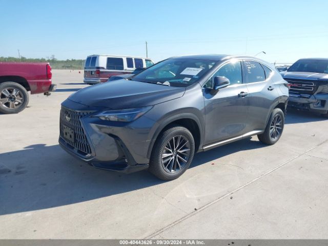 2T2GDCAZ8RC013529 Lexus Nx 250 Premium