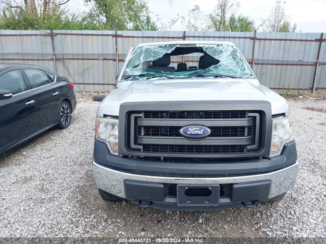 Ford F-150 Xl 2014 1FTEX1EM2EFB00107 Image 6