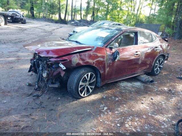 1N4AA6AP6GC448046 Nissan Maxima 3.5 Platinum