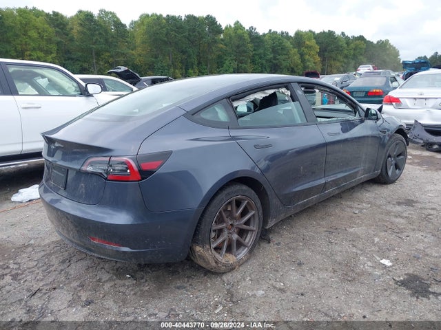 2023 TESLA MODEL 3 5YJ3E1EA7PF436586 Photo 3