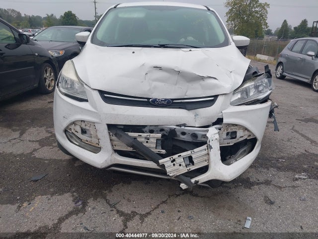 Ford ESCAPE SE 2014 1FMCU0G97EUD59508 Image 12