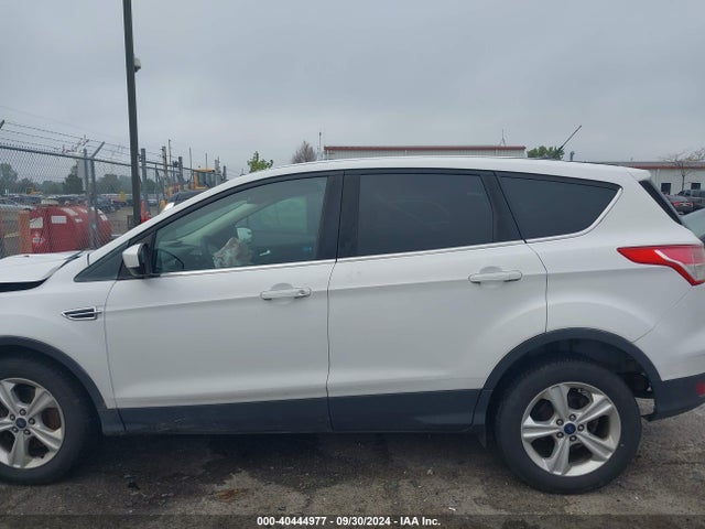 Ford ESCAPE SE 2014 1FMCU0G97EUD59508 Image 14