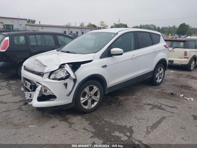 Ford ESCAPE SE 2014 1FMCU0G97EUD59508 Image 2