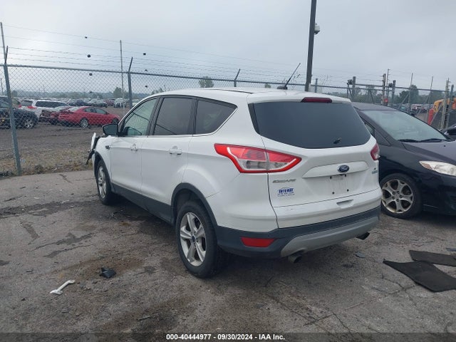 Ford ESCAPE SE 2014 1FMCU0G97EUD59508 Image 3
