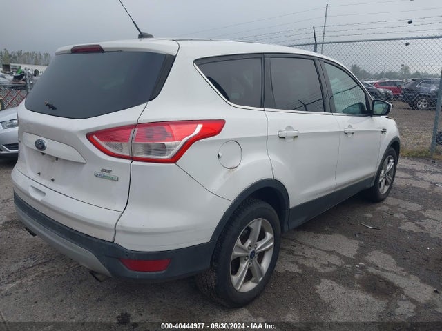 Ford ESCAPE SE 2014 1FMCU0G97EUD59508 Image 4