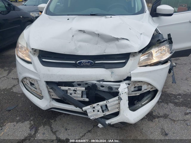 Ford ESCAPE SE 2014 1FMCU0G97EUD59508 Image 6