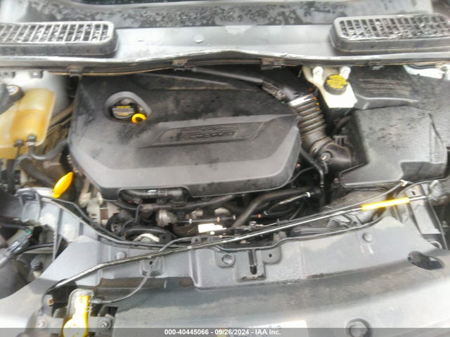 Ford ESCAPE SE 2014 1FMCU0GX0EUD55881 Image 10