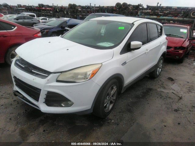 Ford ESCAPE SE 2014 1FMCU0GX0EUD55881 Image 2