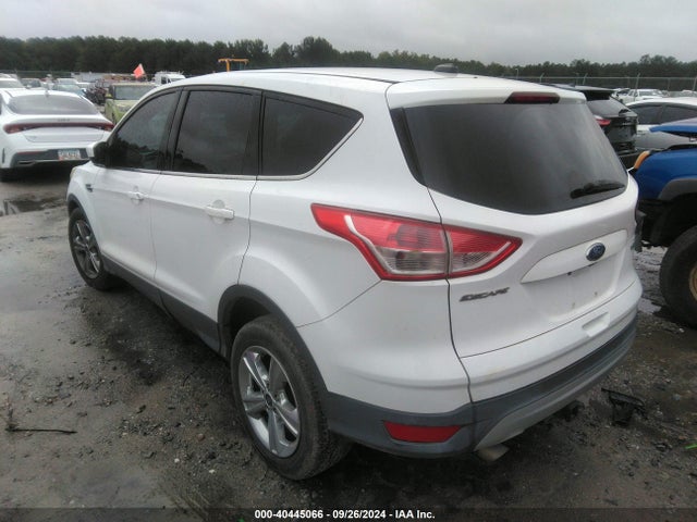Ford ESCAPE SE 2014 1FMCU0GX0EUD55881 Image 3