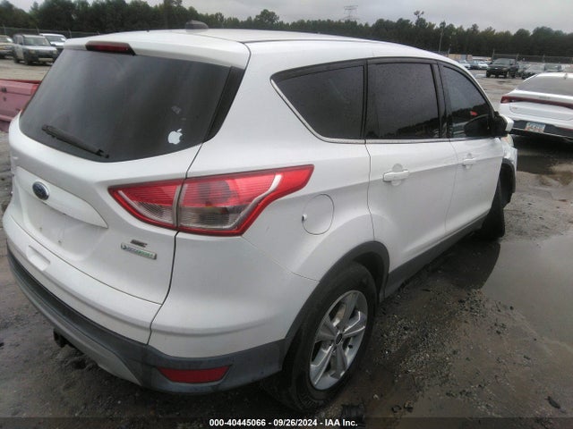 Ford ESCAPE SE 2014 1FMCU0GX0EUD55881 Image 4