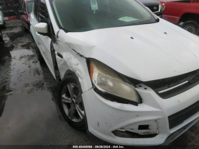 Ford ESCAPE SE 2014 1FMCU0GX0EUD55881 Image 6