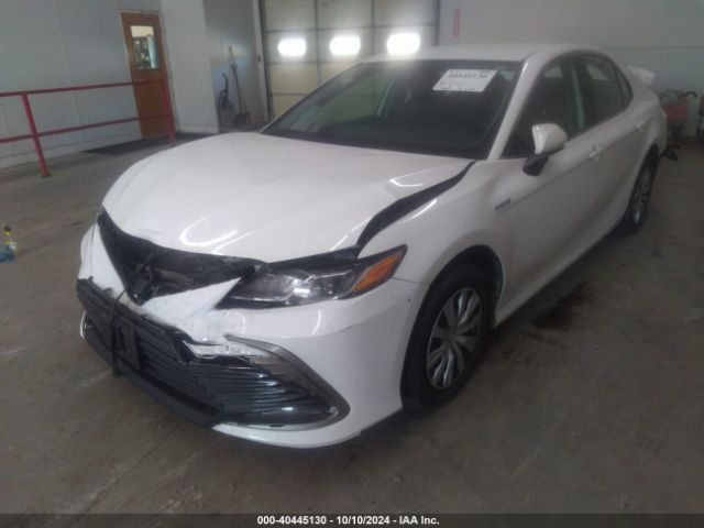 4T1C31AK8MU568176 Toyota Camry Le Hybrid