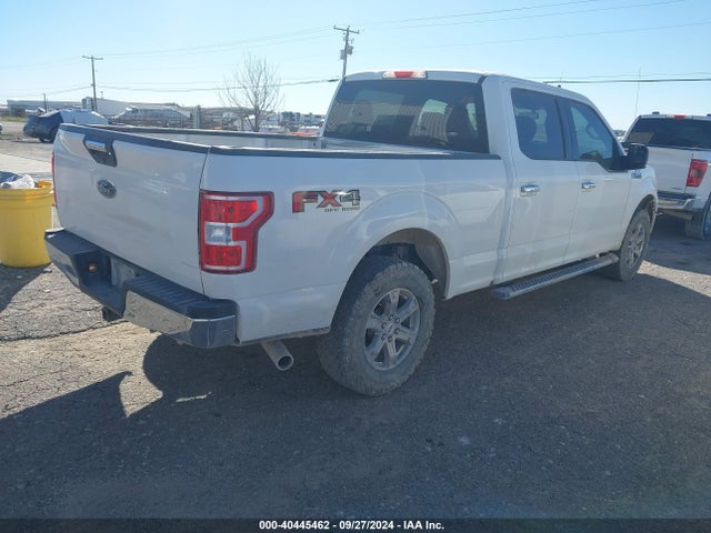 Ford F-150 Xlt 2019 1FTFW1E51KKC41429 Image 4