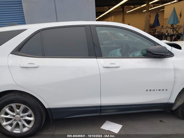 Chevrolet EQUINOX LS 2019 2GNAXHEV1K6119504 Image 13