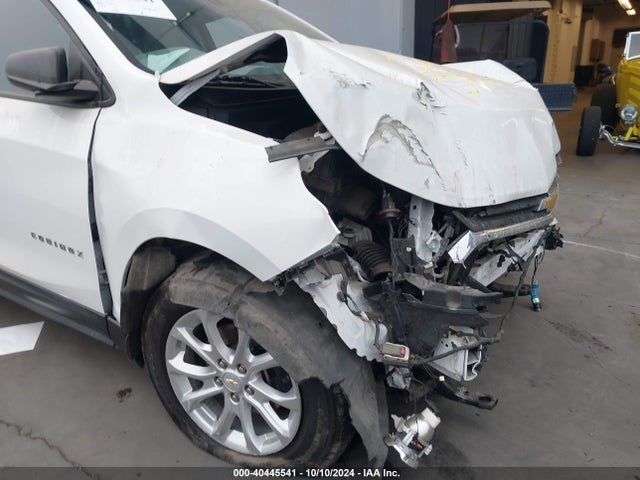 Chevrolet EQUINOX LS 2019 2GNAXHEV1K6119504 Image 11