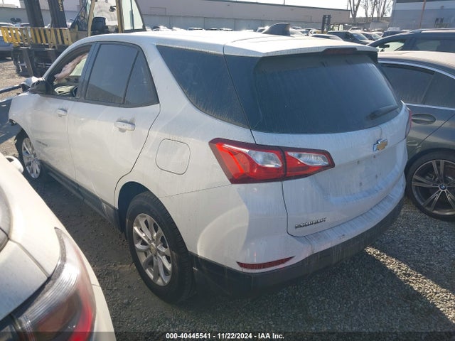 Chevrolet EQUINOX LS 2019 2GNAXHEV1K6119504 Image 3