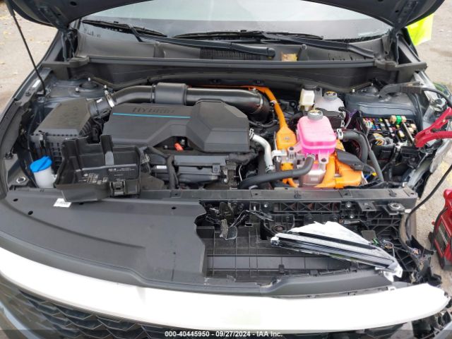 KNDPUCDGXR7142873 KIA Sportage Hybrid Lx