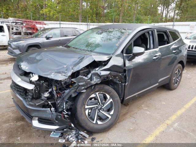 KNDPUCDGXR7142873 KIA Sportage Hybrid Lx