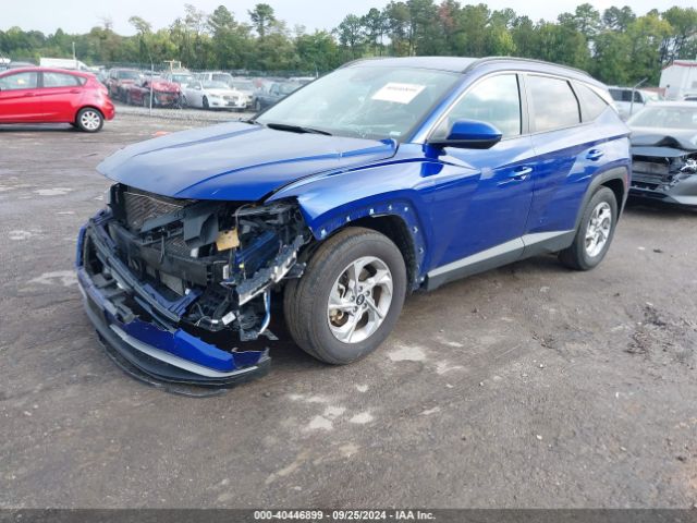 5NMJB3DE8RH298915 Hyundai TUCSON SEL