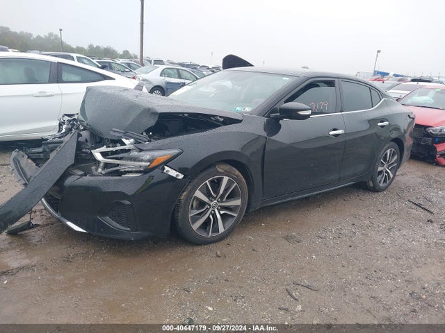 Nissan Maxima 3.5 Sv 2019 1N4AA6AV0KC360018 Image 2