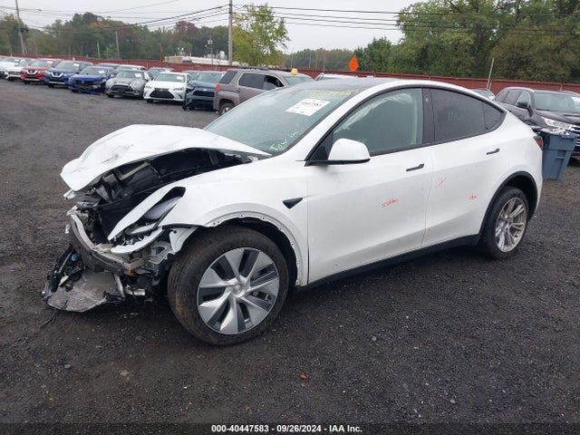 2023 TESLA MODEL Y 7SAYGDEEXPA079053 Photo 1