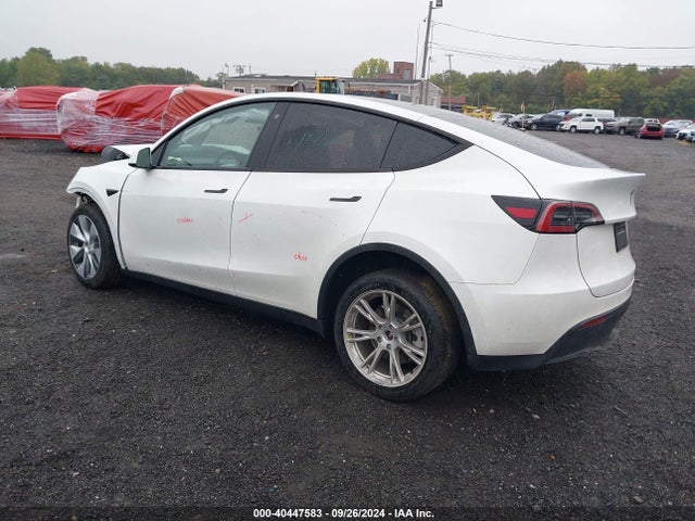 2023 TESLA MODEL Y 7SAYGDEEXPA079053 Photo 2