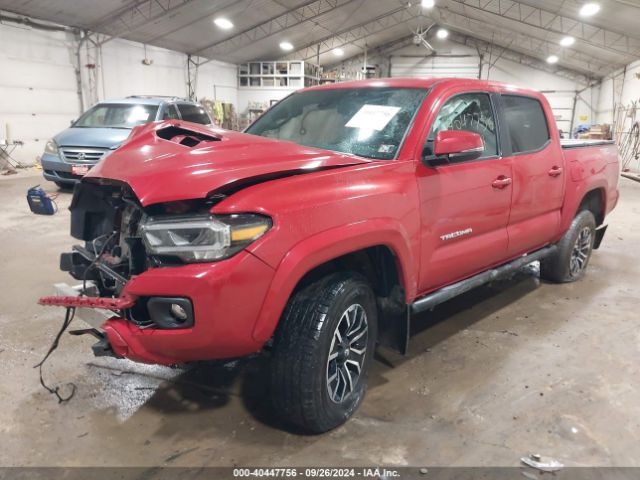 3TMCZ5AN2PM541343 Toyota Tacoma Trd Sport
