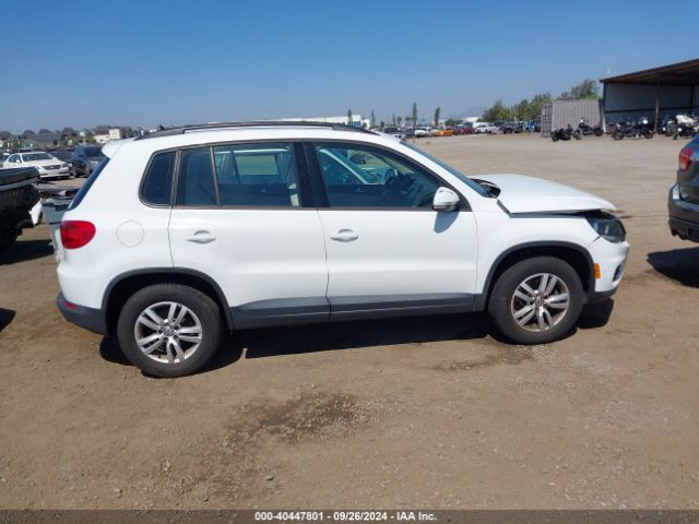 WVGAV7AX8GW551659 Volkswagen TIGUAN S