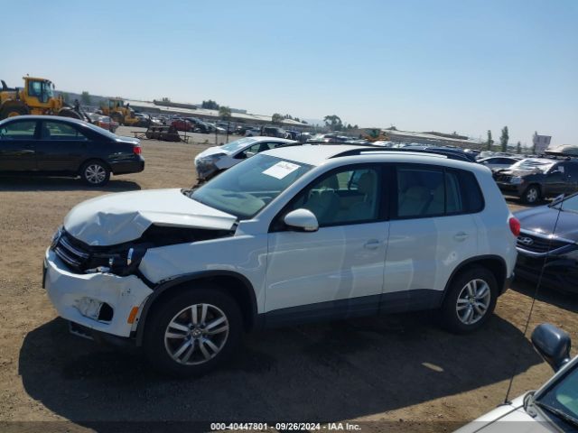 WVGAV7AX8GW551659 Volkswagen TIGUAN S