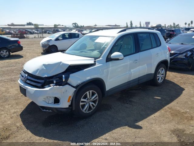 WVGAV7AX8GW551659 Volkswagen TIGUAN S