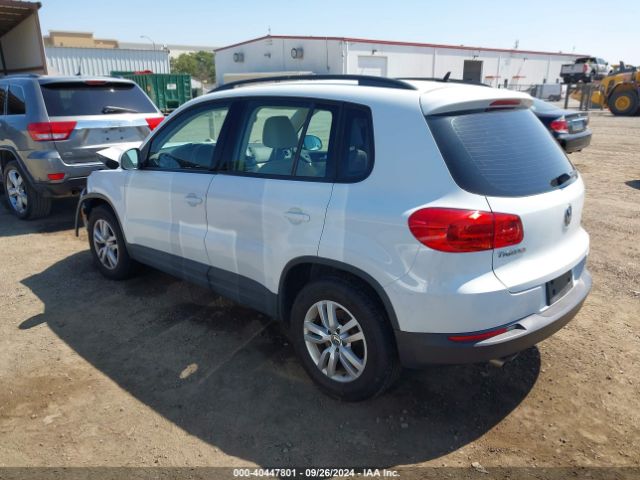 WVGAV7AX8GW551659 Volkswagen TIGUAN S