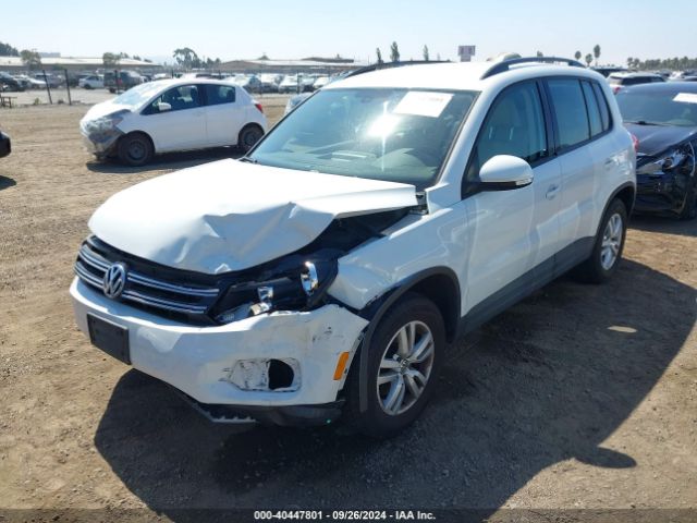 WVGAV7AX8GW551659 Volkswagen TIGUAN S