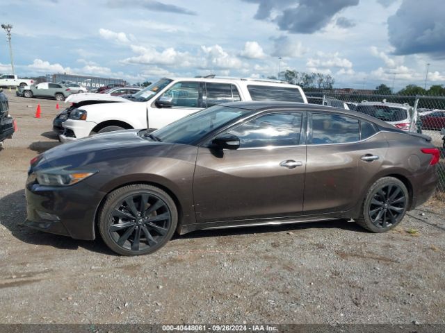 1N4AA6AP2GC441319 Nissan Maxima 3.5 Platinum/3.5 S/3.5 Sl/3.5 Sr/3.5 Sv