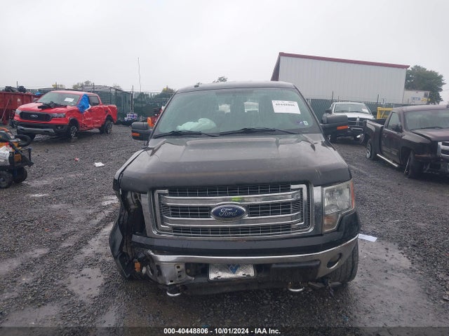 Ford F-150 Xlt 2014 1FTFW1EF5EKG16221 Image 12