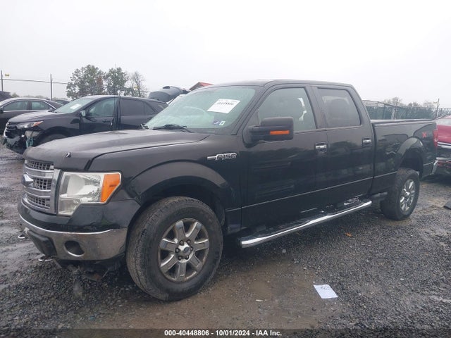 Ford F-150 Xlt 2014 1FTFW1EF5EKG16221 Image 2