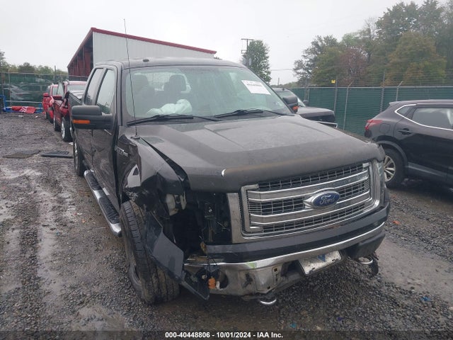 Ford F-150 Xlt 2014 1FTFW1EF5EKG16221 Image 6