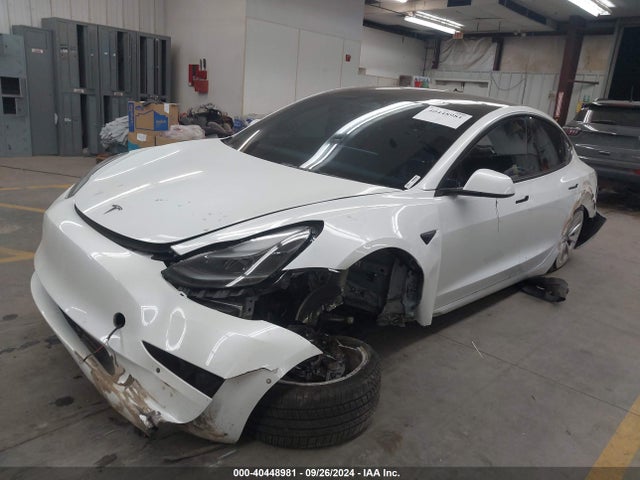 2022 TESLA MODEL 3 5YJ3E1EBXNF253009 Photo 1