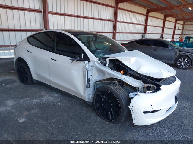 2021 TESLA MODEL Y 5YJYGDEE3MF255520 Photo 0
