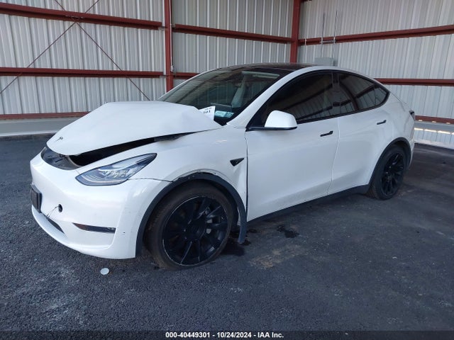 2021 TESLA MODEL Y 5YJYGDEE3MF255520 Photo 1