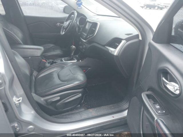 1C4PJMBS6EW161376 Jeep Cherokee Trailhawk