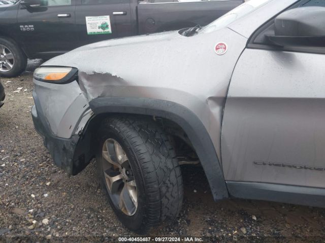 1C4PJMBS6EW161376 Jeep Cherokee Trailhawk